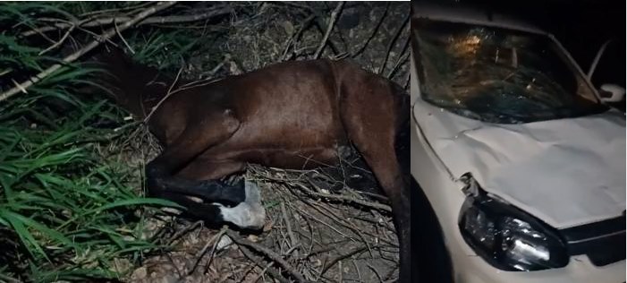 Padre se envolve em acidente provocado por animal na pista em Riachão do Jacuípe