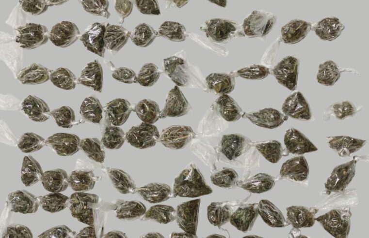 Jovem de 20 anos é preso por tráfico de drogas em Serrinha