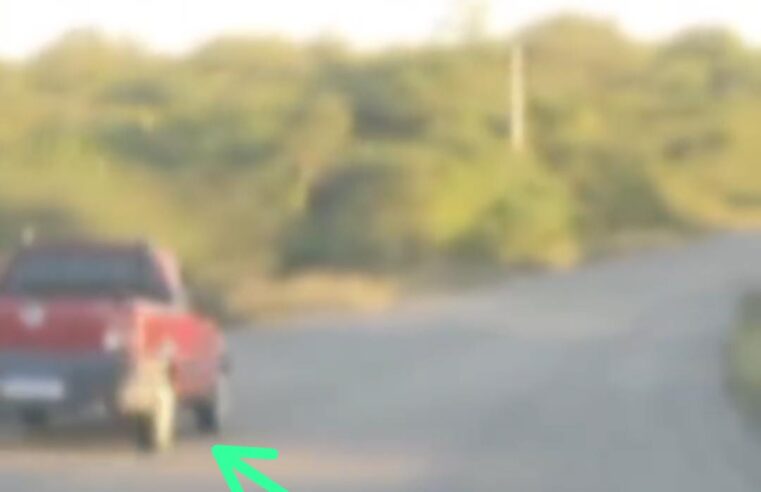 VEJA O VÍDEO: Motorista é flagrado fazendo zigue-zague na BA-411, em Conceição do Coité