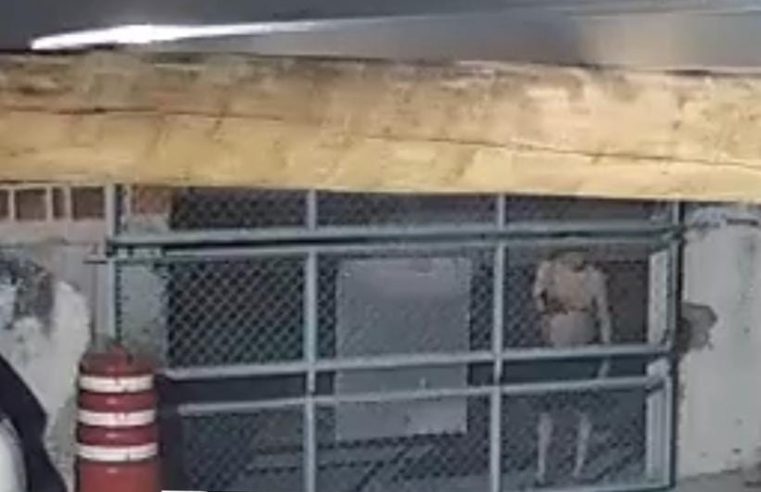 Vídeo: Advogado de 85 anos tem surto, tenta invadir base do Águia Resgate e ameaça socorristas com revólver em Conceição do Coité