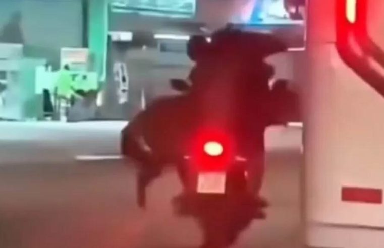 VÍDEO: Homem é flagrado transportando cavalo na garupa de moto