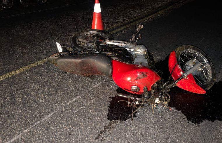 Tragédia na BA-411: motociclista morre após colidir com cavalo solto entre Conceição do Coité e Salgadália