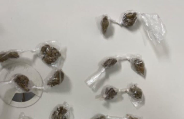 Jovem de 23 anos é flagrado com 22 trouxinhas de maconha durante ação da PM no bairro das Casas Populares, em Conceição do Coité