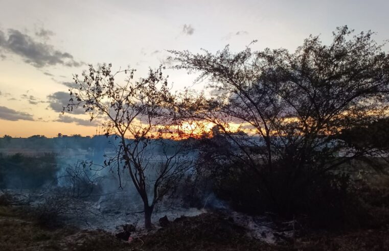 Incêndio próximo ao Colégio Olgarina mobiliza equipe do Águia Resgate em Conceição do Coité; ninguém ficou ferido