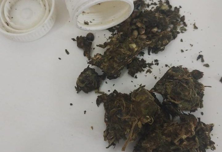 Suspeito foge ao avistar viatura da PM e deixa droga para trás em estrada vicinal de Conceição do Coité