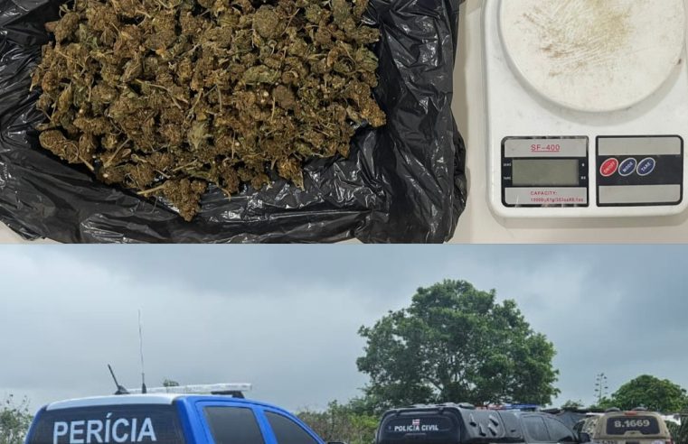 Polícia apreende drogas e desarticula rinha de galos na zona rural de Conceição do Coité