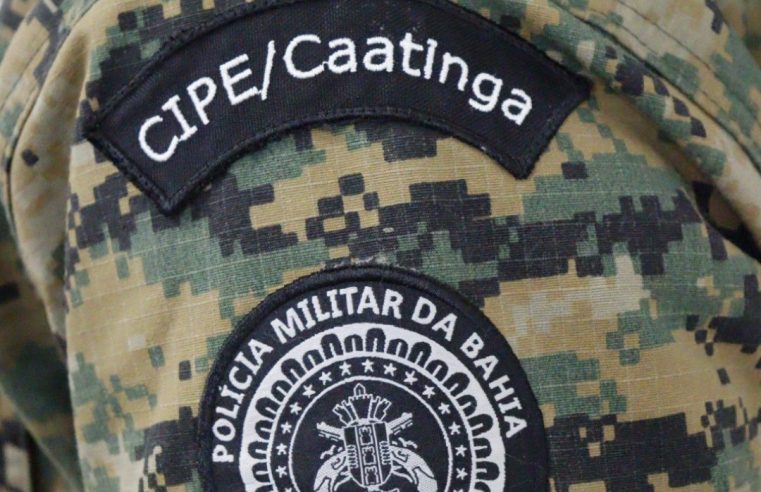 Suspeito é preso após troca de tiros com a CIPE Nordeste em área de mata no distrito de Salgadália, em Conceição do Coité