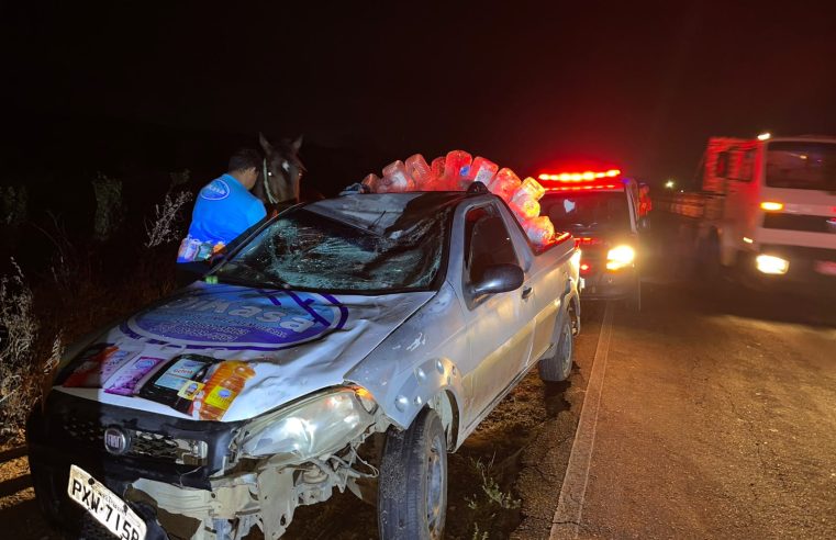 Cavalo solto na pista! Carro atinge animal, motorista segura cavalo e aciona PM para localizar dono e cobrar prejuízo na BA-120, na entrada de Santa Rosa, em Conceição do Coité