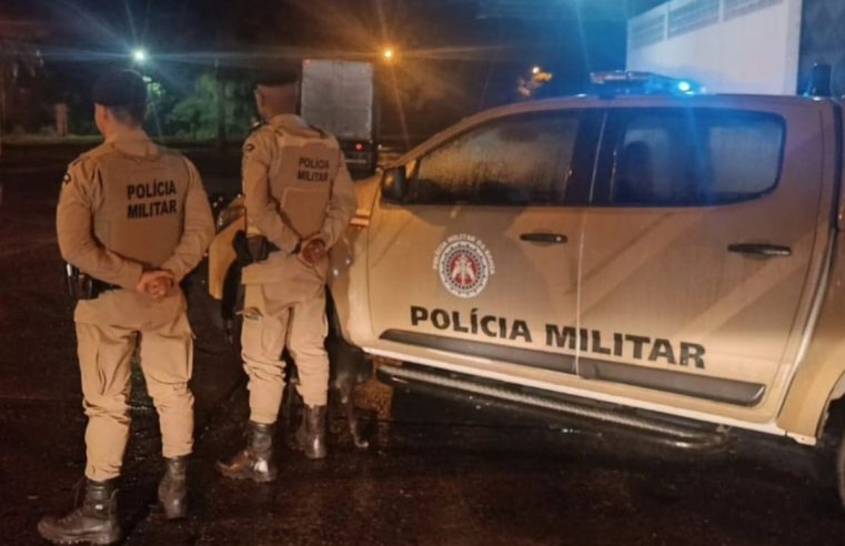 ATAQUE CRUEL! Dois gatos são atingidos por disparos de arma de pressão em Coité; um não resiste e morre