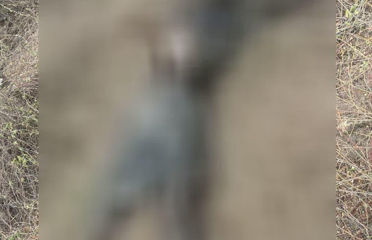 Homem é encontrado morto em estado de decomposição na zona rural de Coité; irmã reconhece corpo pelas roupas e chave
